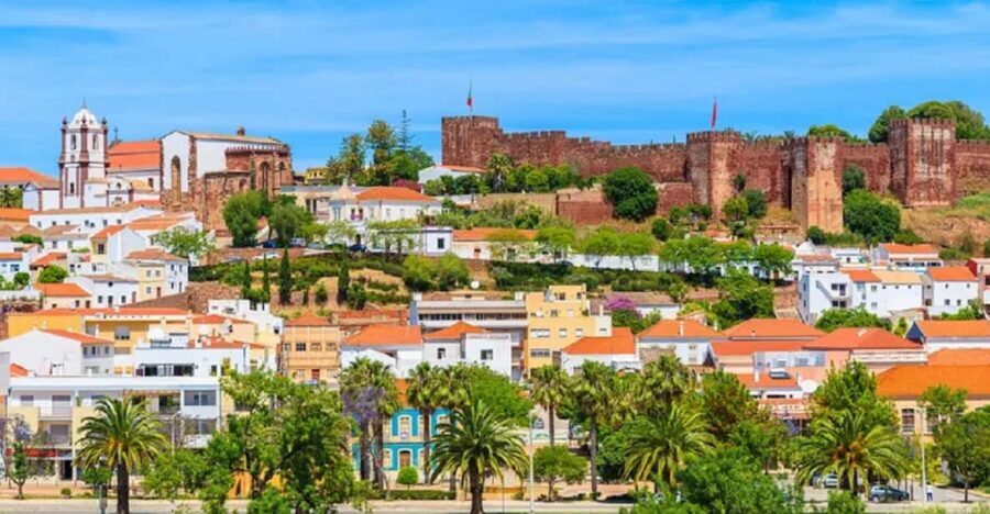From Albufeira: Half-Day Silves & Monchique Highlights Tour - Fóia viewpoint (902 meters): the payoff for the climb