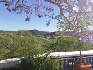 From Albufeira: Wine Tasting & Historic Silves Tour - First Silves Stop: A 30-Minute Break to Find Your Bearings