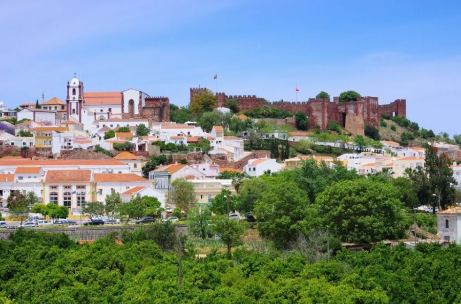From Albufeira: Wine Tasting & Historic Silves Tour - Should You Book the Albufeira Wine Tasting & Historic Silves Tour?