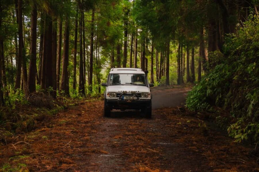 From Angra: Terceira Island Full-Day Jeep Tour - A Jeep Day From Angra: what makes this tour work