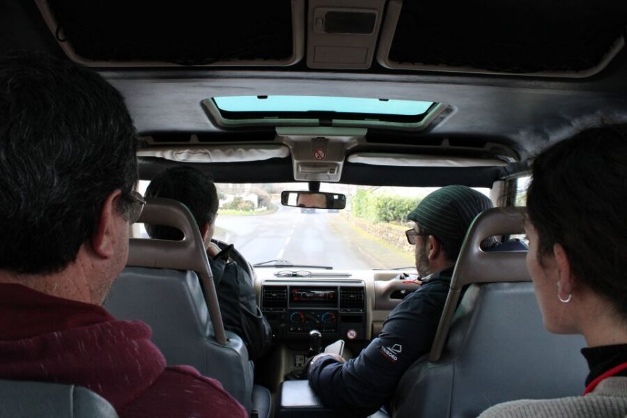 From Angra: Terceira Island Full-Day Jeep Tour - Agualva and Biscoitos off-road: bulls, native flora, and real driving fun