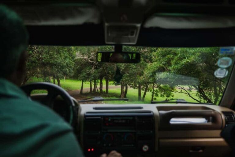From Angra: Terceira Island Full-Day Jeep Tour - Monte Brasil and UNESCO Angra do Heroísmo from above