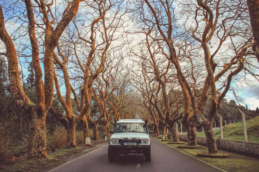 From Angra: Terceira Island Full-Day Jeep Tour - Finishing in the central natural area: last views with less rushing