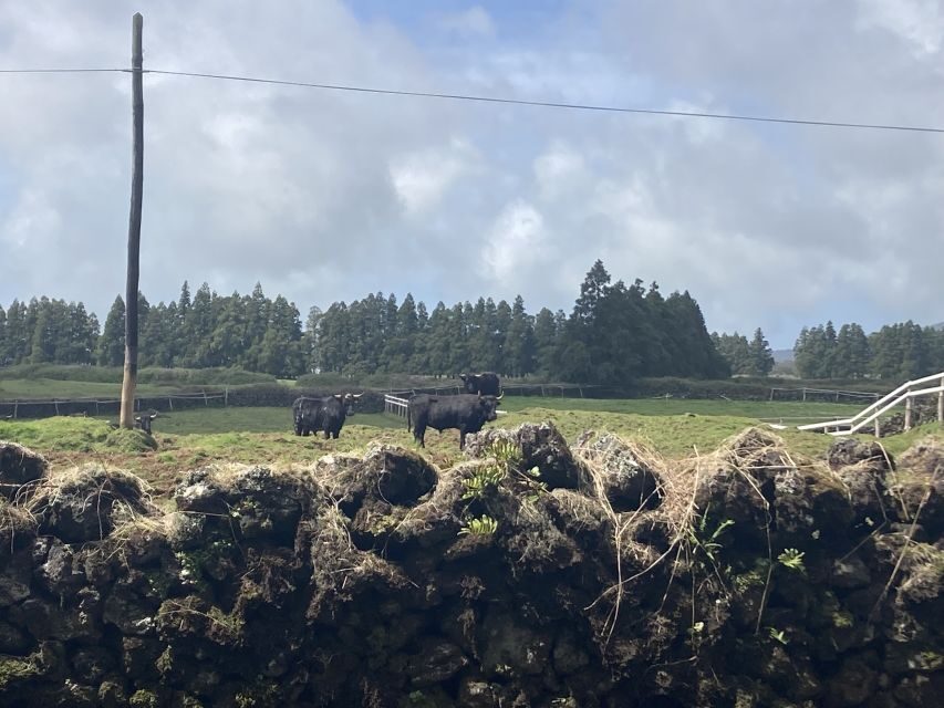 From Angra: Terceira Island Full-Day Tour - Praia da Vitória: your lunch break with real wandering time