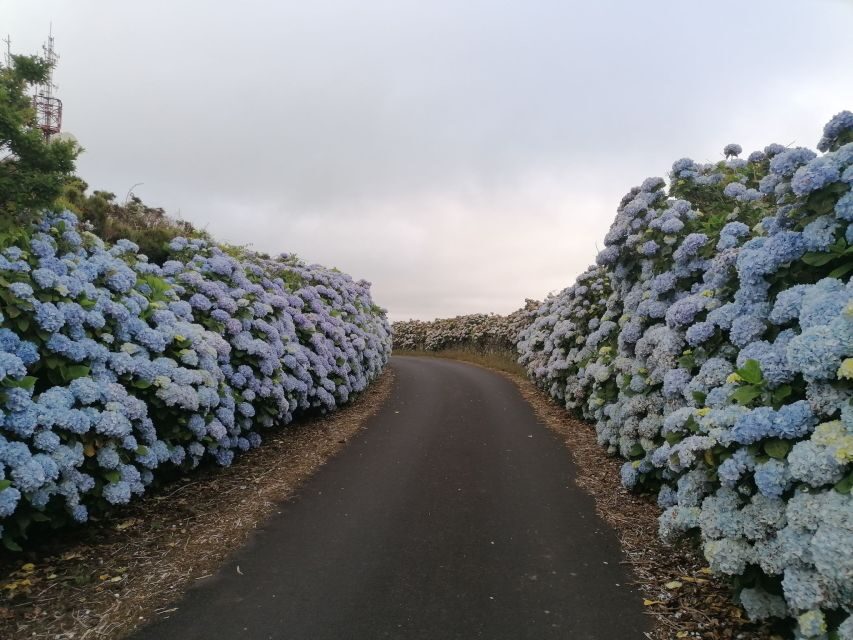 From Angra: Terceira Island Full-Day Tour - Price and value: what you’re really paying for at $94