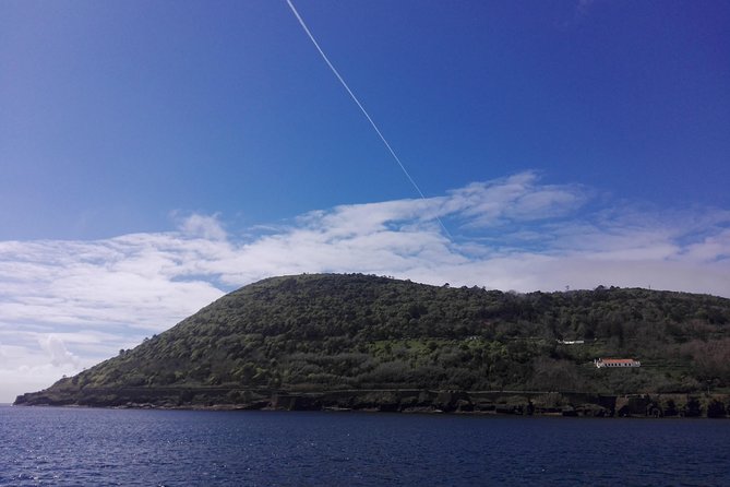 From Angra: Terceira Island Full-Day Tour (Private) - A Drive-By With a Mission: Baía da Salga (1581)