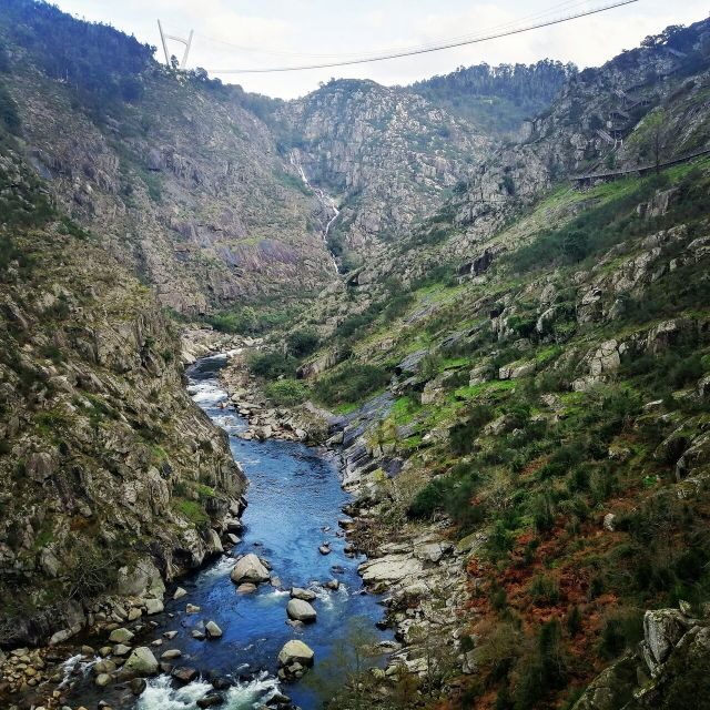 From Arouca: 516 Arouca Bridge & Paiva Walkway Tour - Best viewpoint pacing: how the guide turns walking into learning