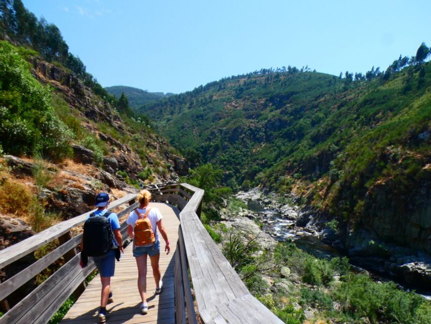 From Arouca: 516 Arouca Bridge & Paiva Walkway Tour - How hard is it, really? 8 km, 600 steps, and mostly downhill