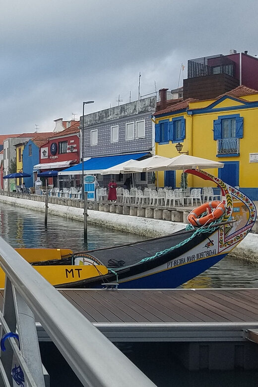 From Aveiro/Ilhavo: Barra, Costa Nova, and Vista Alegre Tour - From Aveiro salt flats to sea openings: why this route works