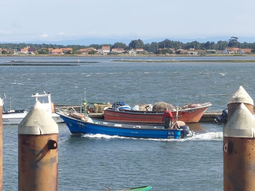 From Aveiro/Ilhavo: Barra, Costa Nova, and Vista Alegre Tour - Vista Alegre: ceramics, a museum visit, and chapel tiles that reward your attention