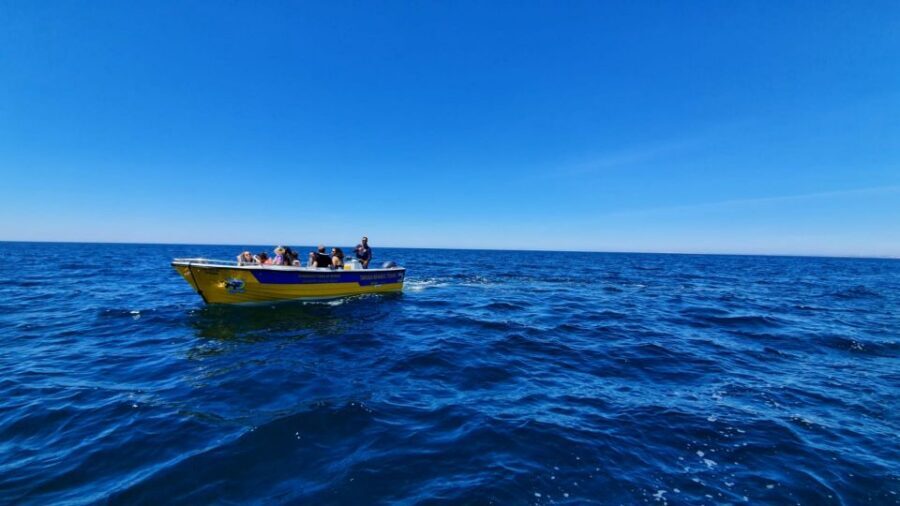 From Benagil: Benagil Cave & Marinha Beach Express Tour - Key things that make this Benagil Cave express tour work