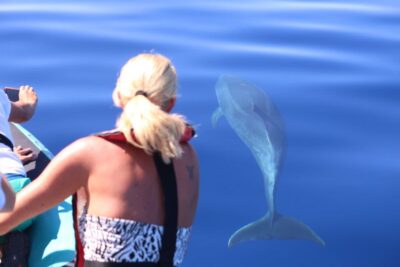 From Calheta: Whale and Dolphin Watching RIB Boat Tour - What the 2-Hour RIB Ride Feels Like (and Why That’s Part of the Point)