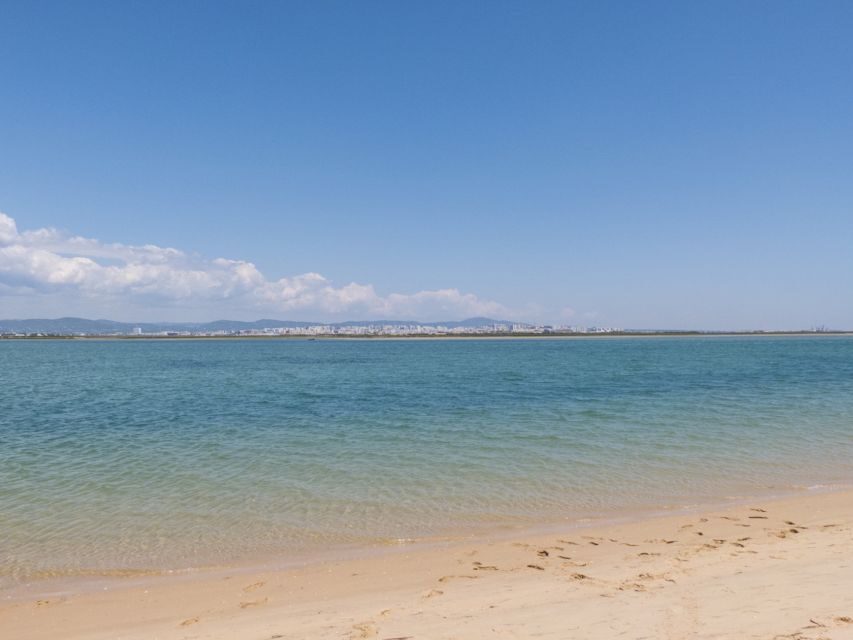 From Faro: 2-Hour Guided Bird Watching Boat Trip - Key highlights worth planning for