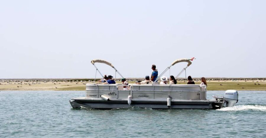 From Faro: 2-Hour Guided Bird Watching Boat Trip - The guides, the onboard narration, and what to expect from the talk