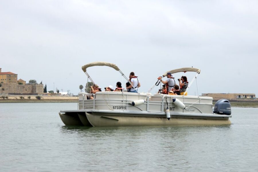 From Faro: 2-Hour Guided Bird Watching Boat Trip - Should you book this Faro bird-watching boat trip?