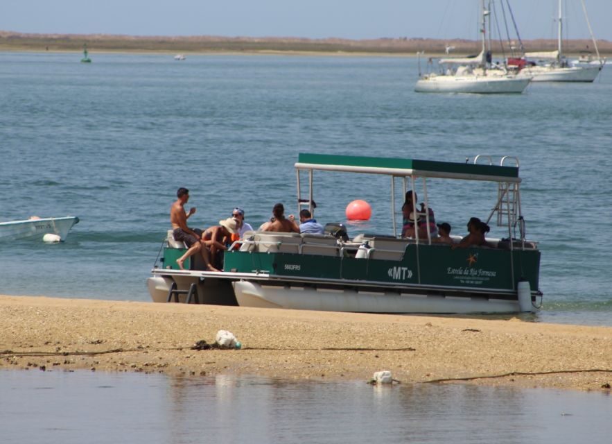 From Faro: 2-Island, 2-Stop Ria Formosa Catamaran Tour - Parque Natural da Ria Formosa: the guided viewing that sets up the whole trip