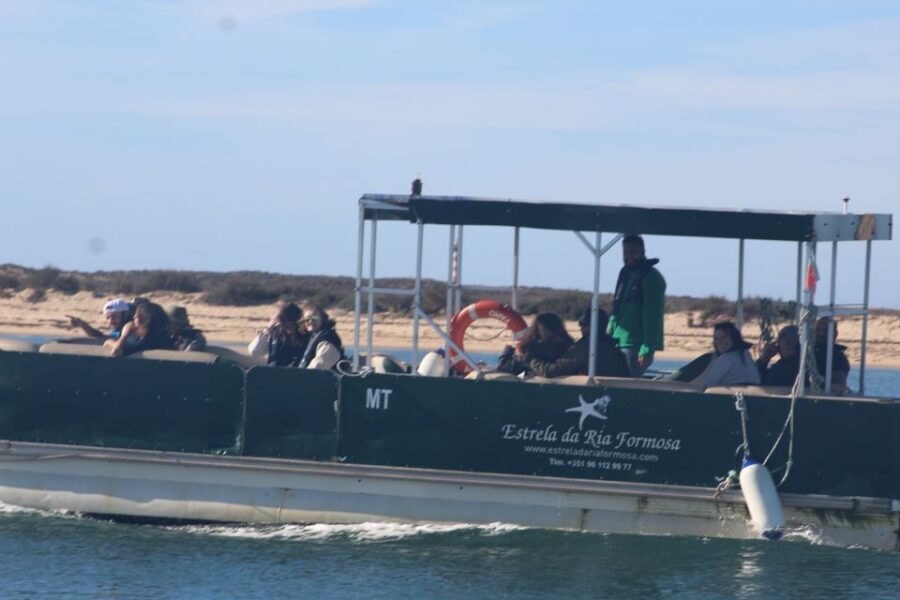 From Faro: 2-Island, 2-Stop Ria Formosa Catamaran Tour - Getting started at Cais de Embarque da Porta Nova