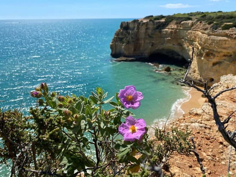 From Faro: Benagil Cave and Seven Hanging Valleys Trail Tour - A 6-hour Faro day plan that mixes walking and beach time