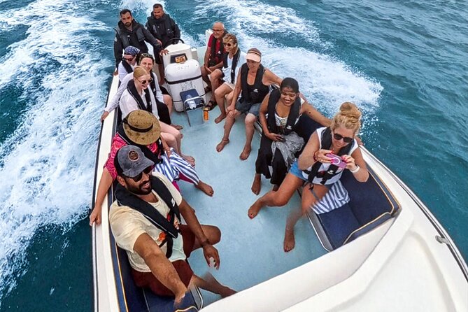 From Faro: Boat trip to Benagil Cave & Arches of Praia da Marinha - Van Return to Faro: Don’t Fight the Clock