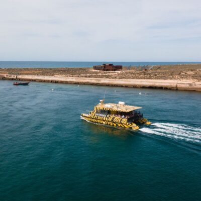 From Faro: Catamaran Boat Trip to Deserta Island with Stop - Ria Formosa channels: what you see (and what you should expect)