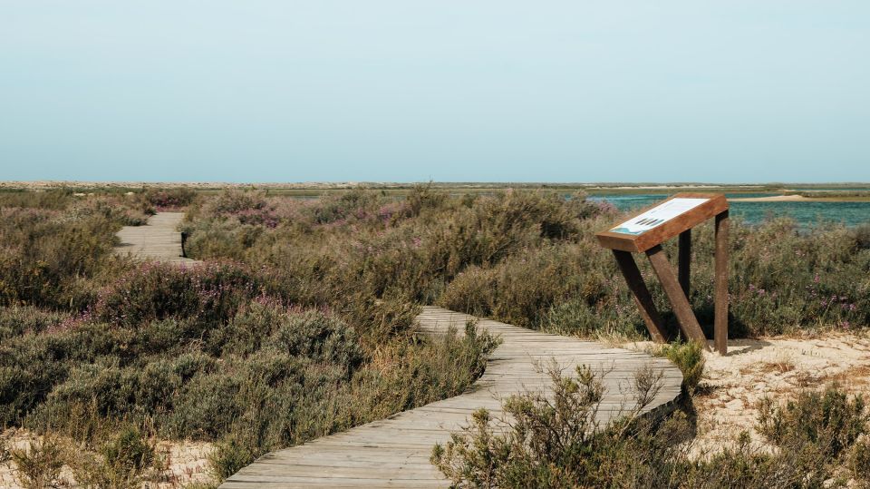 From Faro: Catamaran Boat Trip to Deserta Island with Stop - FAQ