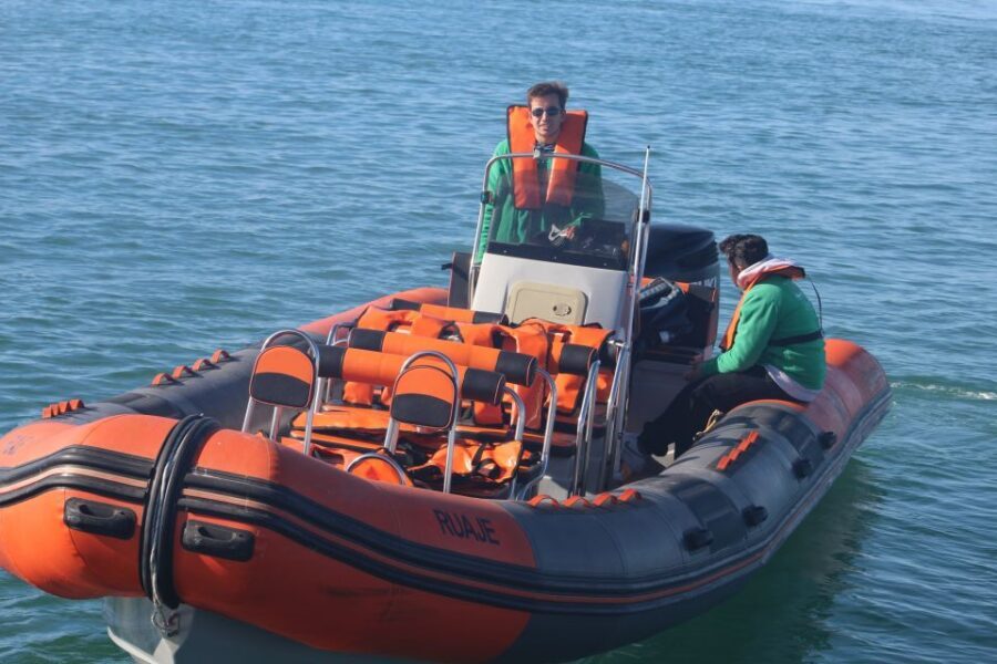 From Faro: Dolphin Watching & 2 Islands Tour - Dolphin watching in the Atlantic: odds, timing, and what to actually look for