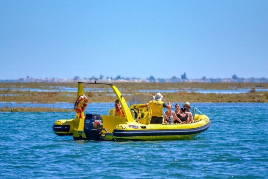 From Faro: Ria Formosa Eco Tour guided by Marine Biologist - Who This Eco Tour Fits Best (and Who Should Reconsider)