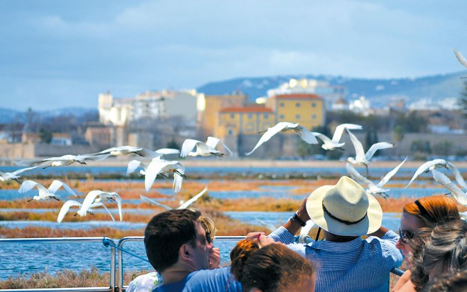 From Faro: Ria Formosa Eco Tour guided by Marine Biologist - Group size and comfort: what 12 travelers changes