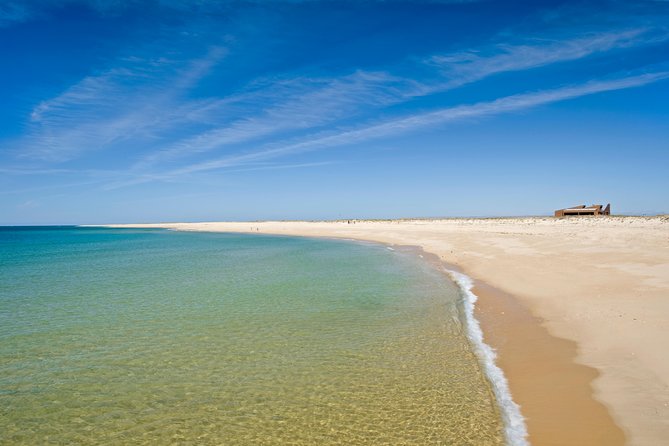 From Faro: Ria Formosa Eco Tour guided by Marine Biologist - Price and value: what you’re actually paying for