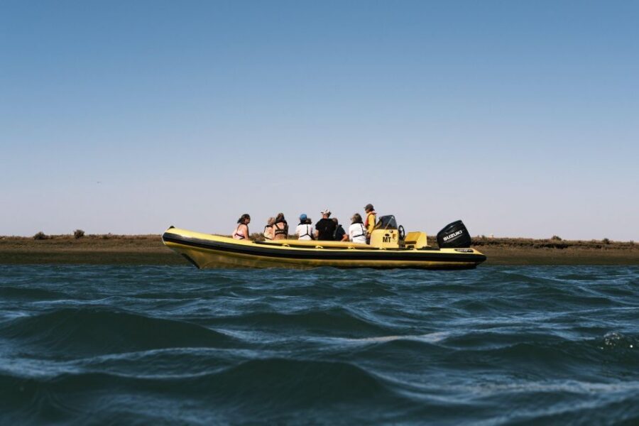 From Faro: Ria Formosa Eco Tour guided by Marine Biologist - Price and Value: Is This Around $41 a Good Deal?
