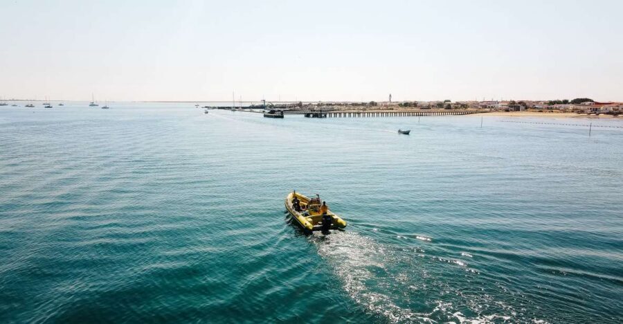 From Faro: Ria Formosa Hop-On Hop-Off 3 Islands Cruise - Key highlights at a glance