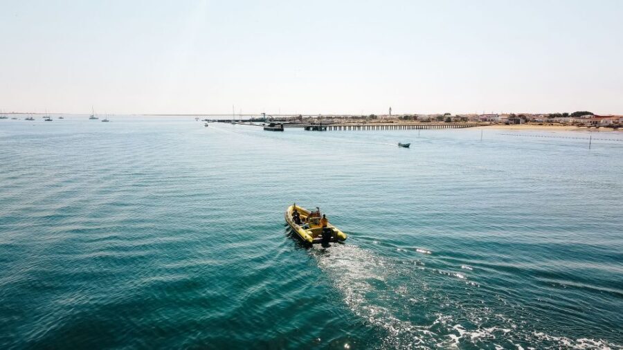 From Faro: Ria Formosa Hop-On Hop-Off 3 Islands Cruise - Stop 1: Desert Island and Cape Saint Mary for quiet beach time