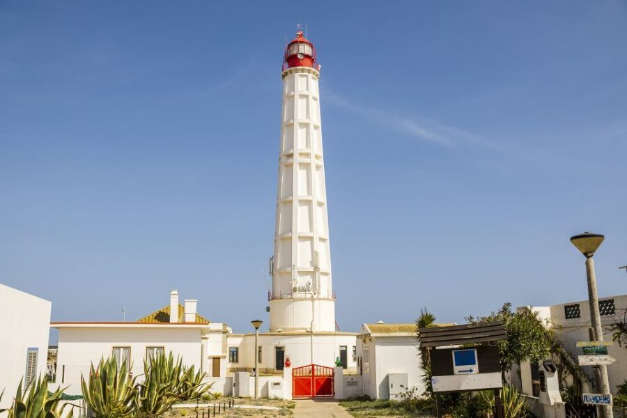 From Faro: Ria Formosa Hop-On Hop-Off 3 Islands Cruise - Stop 2: Farol Island (Ilha do Farol) lighthouse views and sea-wall walks