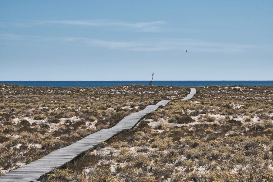 From Faro: Ria Formosa Hop-On Hop-Off 3 Islands Cruise - Stop 3: Culatra Island, oyster farms at low tide, and fishing village life