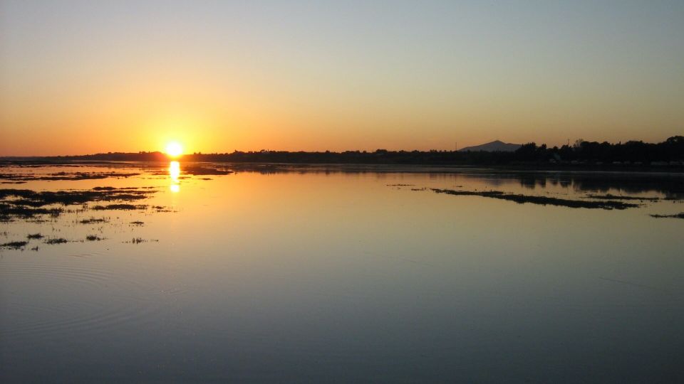 From Faro: Ria Formosa Sunset Boat Trip - The solar-powered boat: quiet enough to hear nature