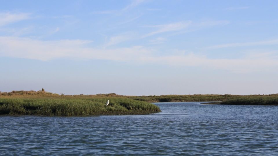 From Faro: Ria Formosa Sunset Boat Trip - Faro Old Town in the distance: the photo timing you’ll want