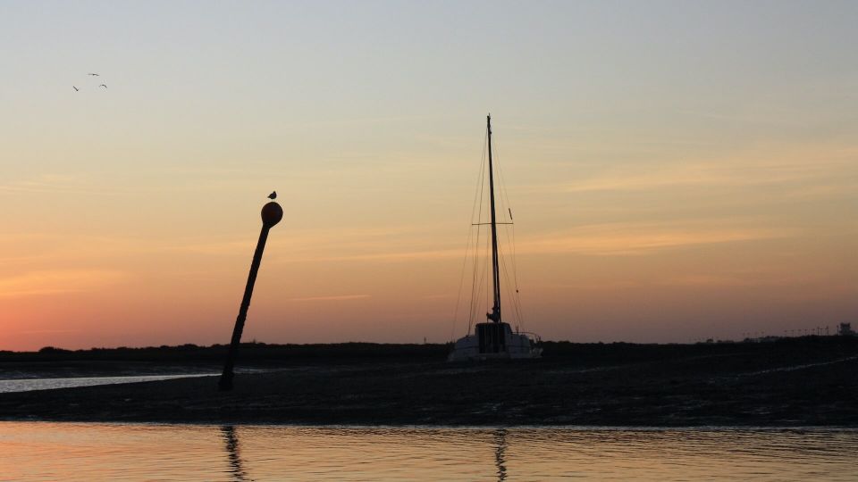From Faro: Ria Formosa Sunset Boat Trip - Price and value: why $35 feels fair here