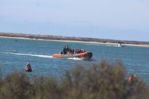 From Faro: Wildlife and Dolphin-Watching Speedboat Tour - Why the morning speedboat timing really matters