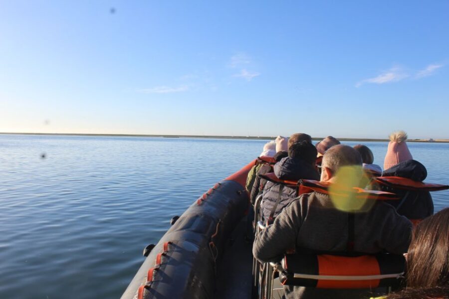 From Faro: Wildlife and Dolphin-Watching Speedboat Tour - Ria Formosa Natural Park waters: the best viewing setup