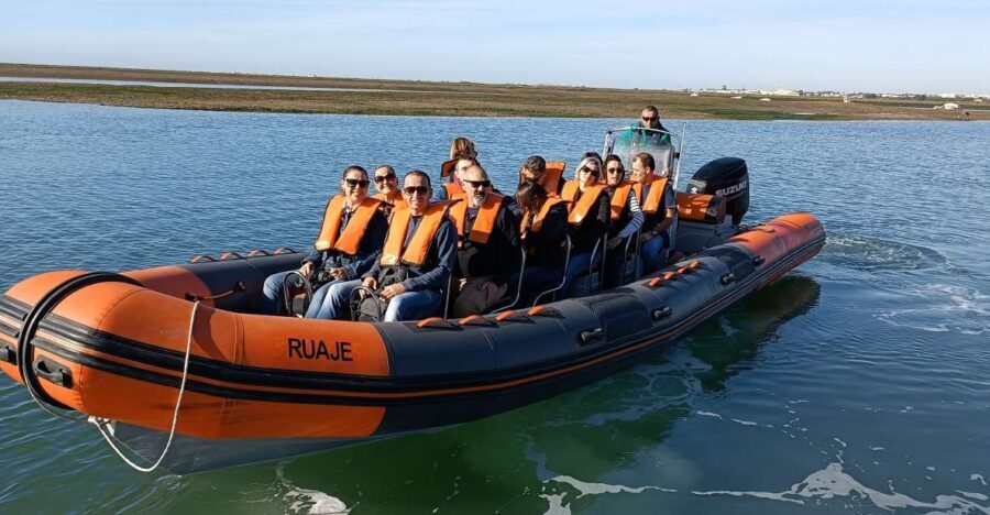 From Faro: Wildlife and Dolphin-Watching Speedboat Tour - Cape Santa Maria (St. Mary): where the Atlantic shows up