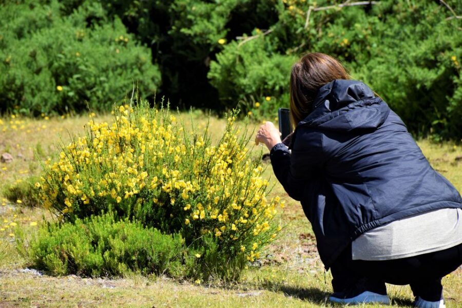 From Funchal: 2-Day Guided Tour of Madeira - East Day Begins at Garajau and Machico: The Atlantic Meets Madeira’s First Capital