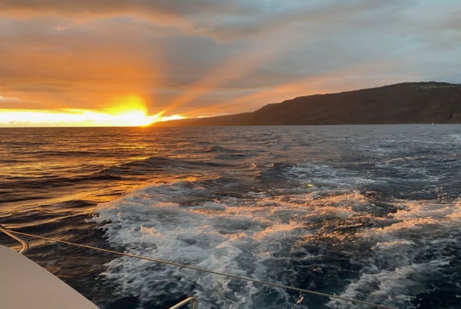 From Funchal: Cabo Girao Sunset Cruise on Luxury Catamaran - What to Bring (and What Could Make You Uncomfortable)