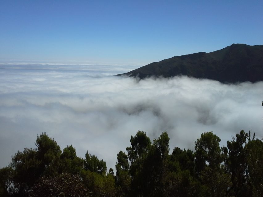 From Funchal: East Tour Madeira 4x4 Jipe Tour Santana Houses - Guides, Groups, and the 8-Hour Reality Check