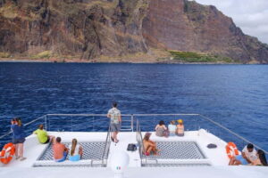 From Funchal: Ecological Catamaran Dolphin Whale Watching - Hybrid-Electric and Silent Cruising: What It Means for Your Experience