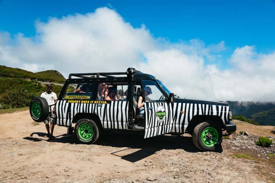 From Funchal: Fanal, Porto Moniz and Seixal Day Jeep Tour - Fanal forest: a short walk with a different vibe
