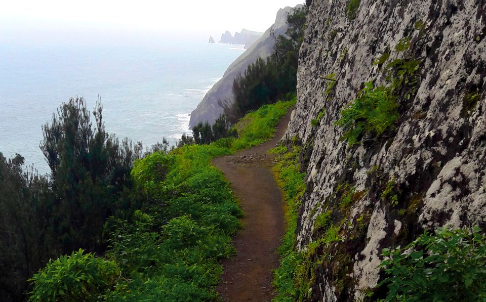 From Funchal: Machico to Porto da Cruz Larano Cliff Hike - Why this Machico to Porto da Cruz hike feels different