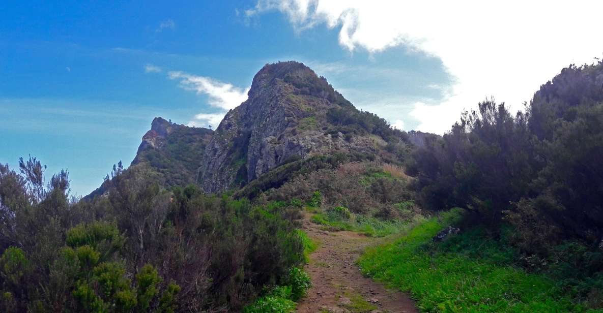 From Funchal: Machico to Porto da Cruz Larano Cliff Hike - The walking plan: what you’ll do from 9:00 AM to 5:00 PM
