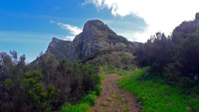 From Funchal: Machico to Porto da Cruz Larano Cliff Hike - Getting from Funchal to Machico without wasting your day