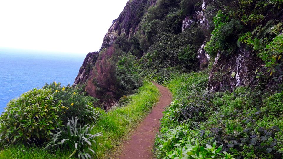 From Funchal: Machico to Porto da Cruz Larano Cliff Hike - What the guide adds: stories, plants, and island context
