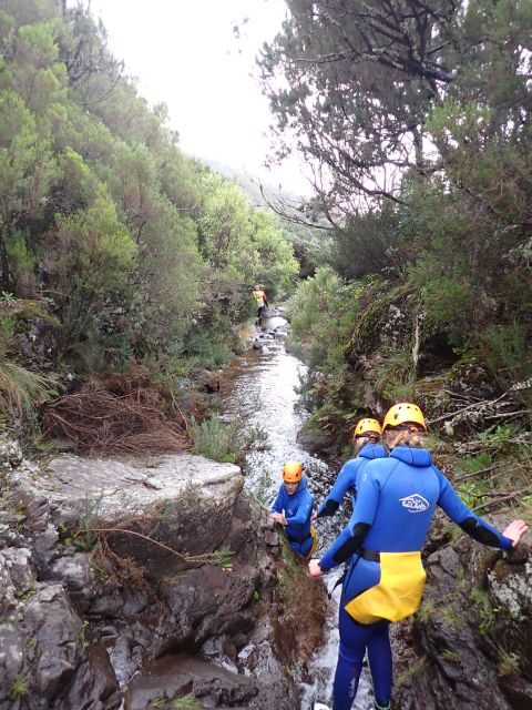 From Funchal: Madeira Island Canyoning for Beginners - Value for $82: What You’re Really Paying For